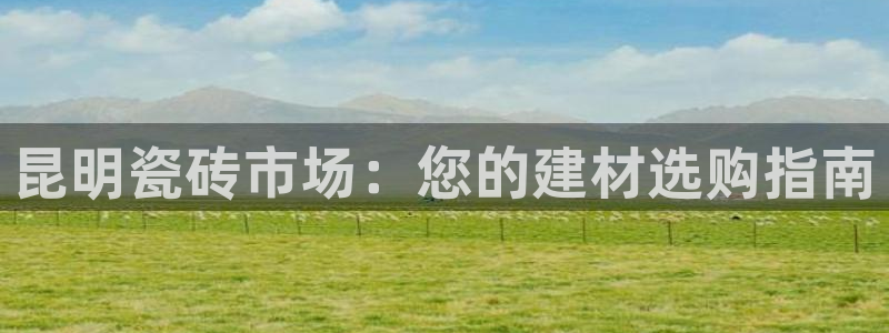 杏鑫代理注册资金多少