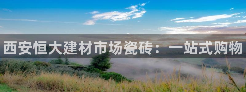 杏鑫平台代理怎么做