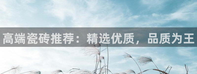 杏鑫平台注册地址在哪里