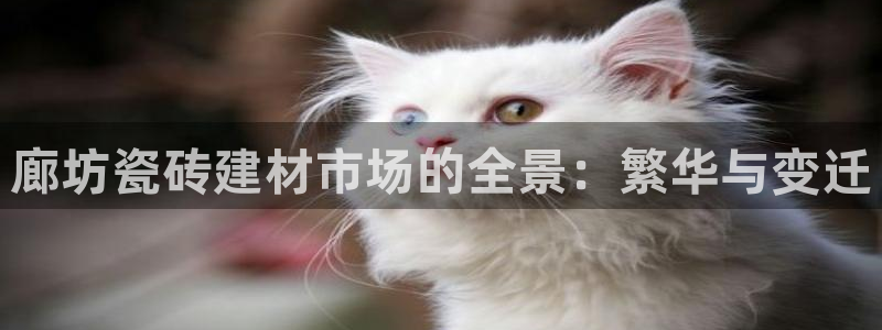 杏鑫官网注册账号是什么意思