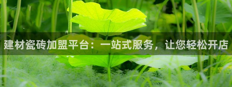 杏鑫平台登录地址查询