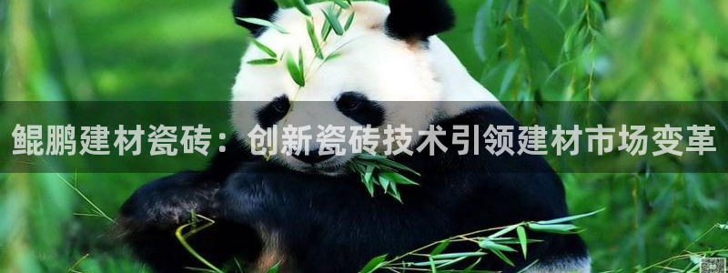 杏鑫娱乐靠谱吗