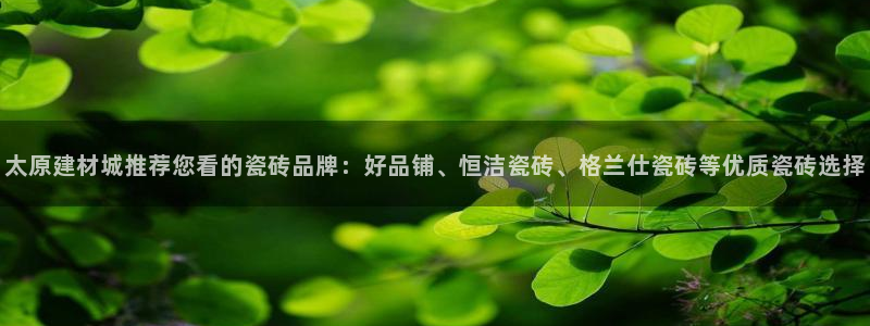 杏鑫主管
