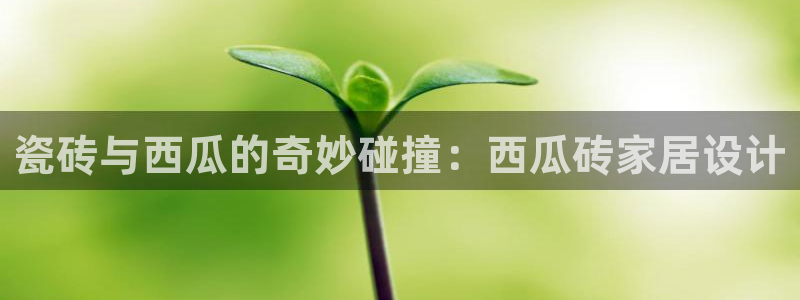 杏鑫官方平台怎么样