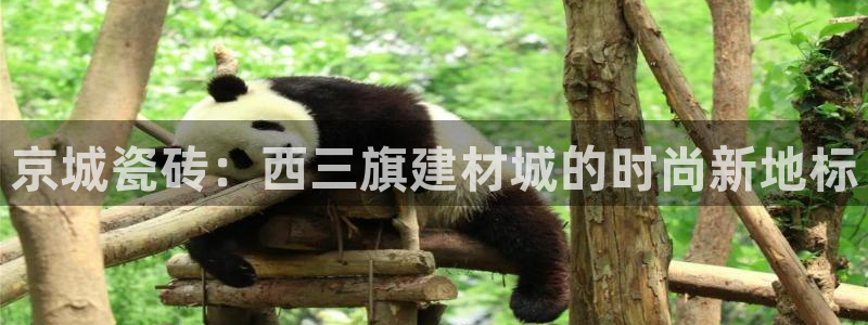 杏鑫平台正规吗是真的吗