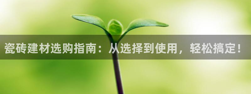 杏鑫官方平台怎么样啊可靠吗