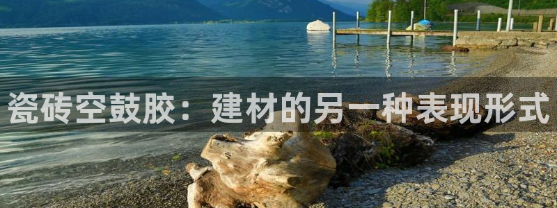 杏鑫官网最新信息新闻