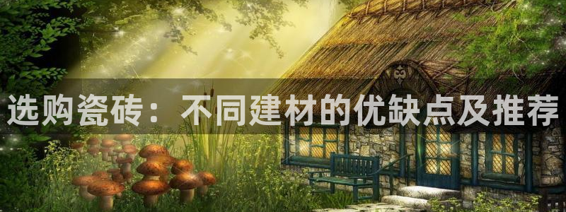 杏鑫平台代理