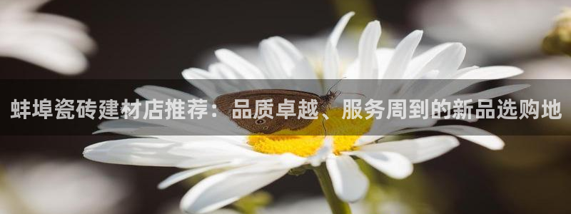 杏鑫平台注册地址是哪里