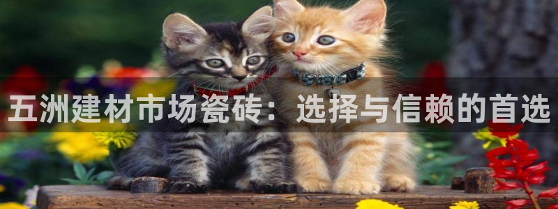 杏鑫平台代理注册登录不了怎么办呀苹果