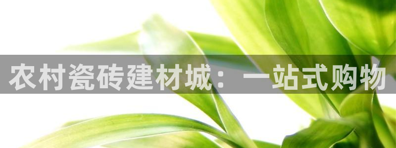 杏鑫有亏损返点吗