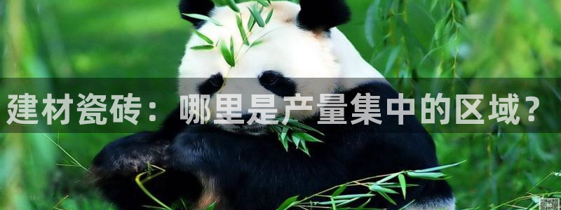 杏鑫平台是黑平台吗