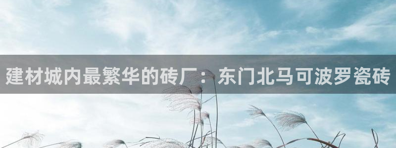 杏鑫平台注册网址