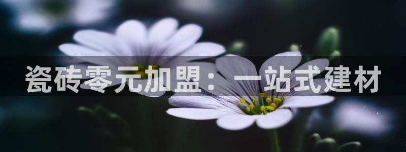 杏鑫平台注册网址查询