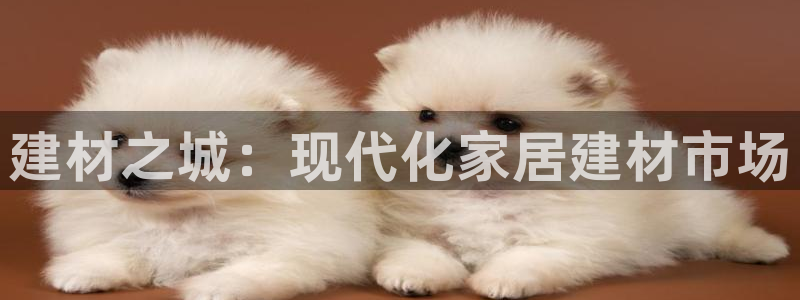 杏鑫平台在线注册