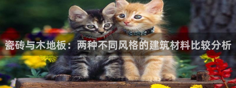 杏鑫注册登录平台是什么