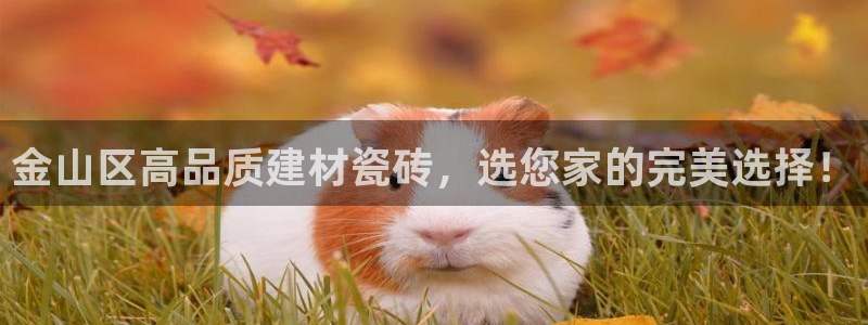 杏鑫平台广7O777
