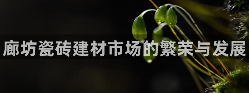 杏鑫官网注册账号密码忘了