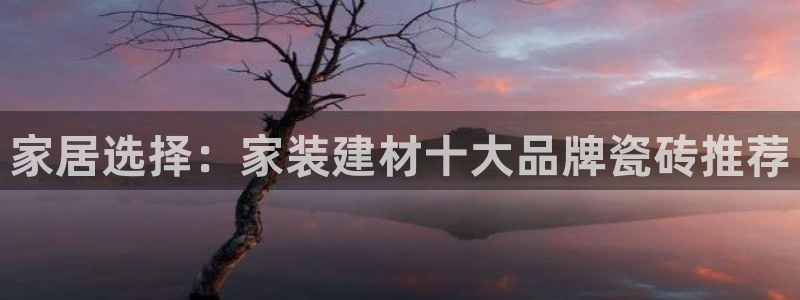 杏鑫注册登录平台是什么