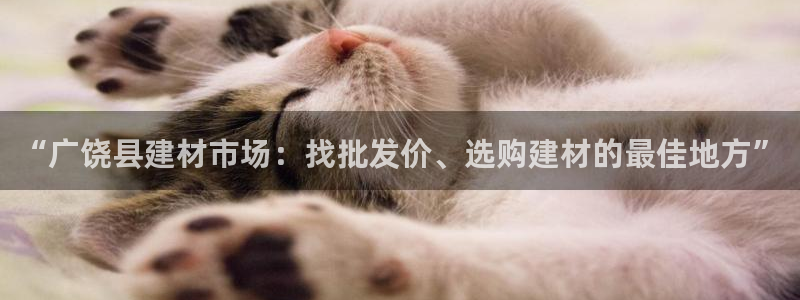 杏鑫官网注册账号是什么意思