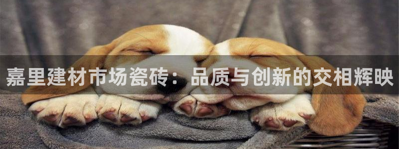 杏鑫官网注册账号