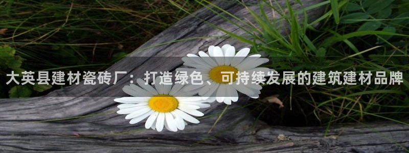 杏鑫平台怎么样黑钱吗知乎