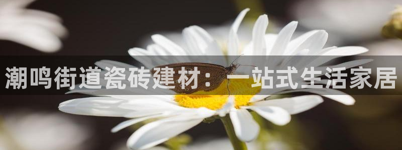 杏鑫平台号7O777