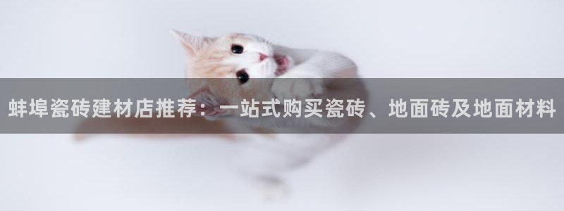 杏鑫官网最新信息新闻