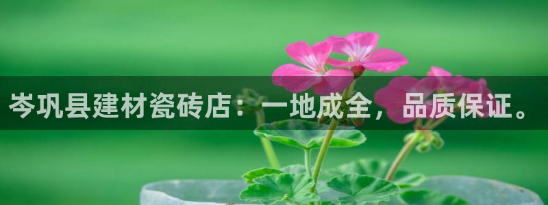 杏鑫平台招商电话