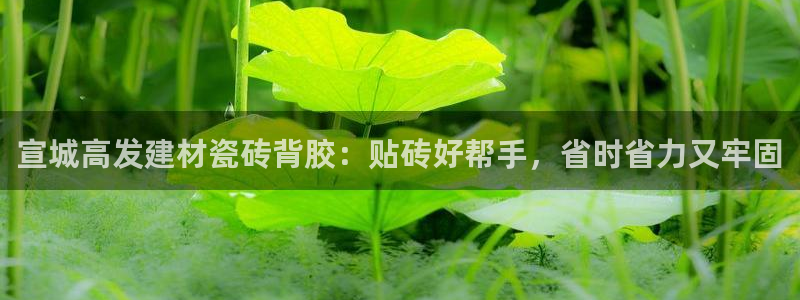 杏鑫平台代理注册流程视频