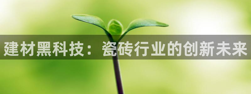 杏鑫平台怎么样黑钱吗安全吗可靠吗