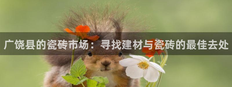 杏鑫官方平台怎么样啊知乎