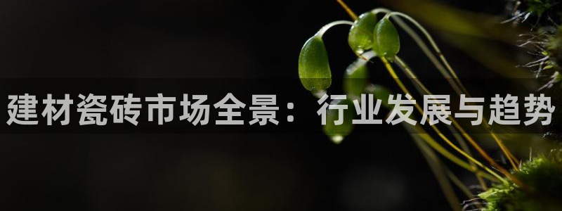 杏鑫平台怎么样知乎