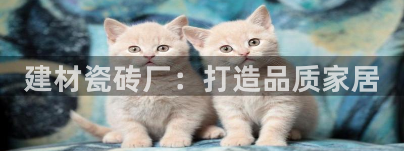 杏鑫官网注册账号密码