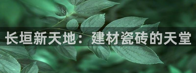 杏鑫平台代理注册流程及费用