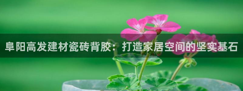 杏鑫平台招商电话号码是多少