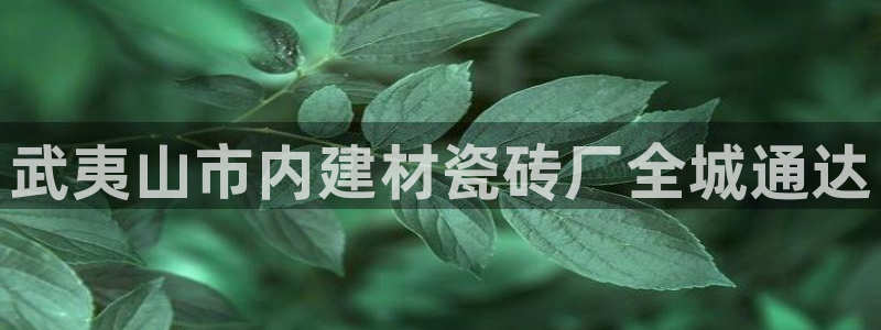 杏鑫平台注册网址是多少