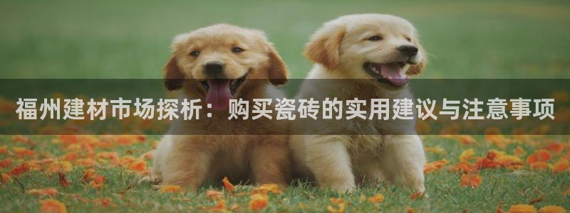 杏鑫平台注册网址是什么
