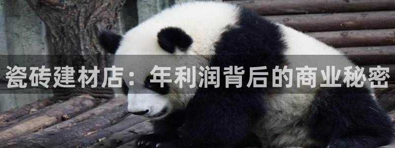 杏鑫官网最新信息新闻